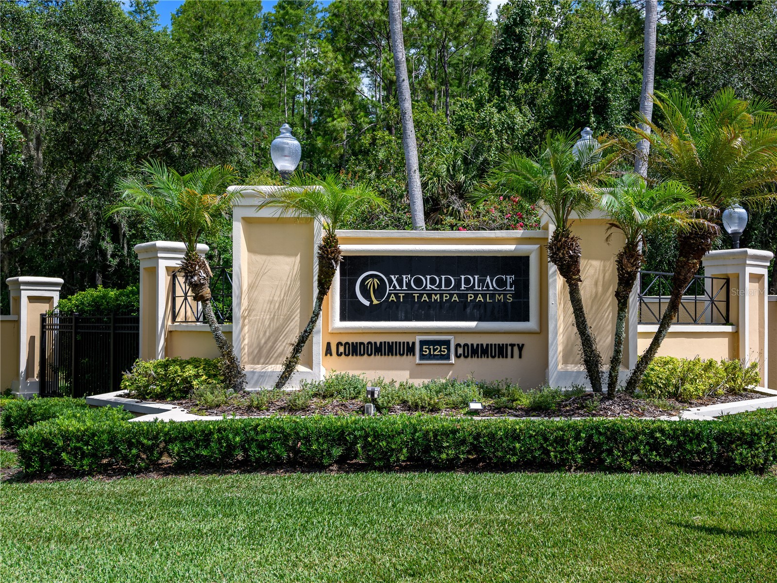5125 Palm Springs Boulevard #7108 Tampa FL 33647 TB8514409 image35