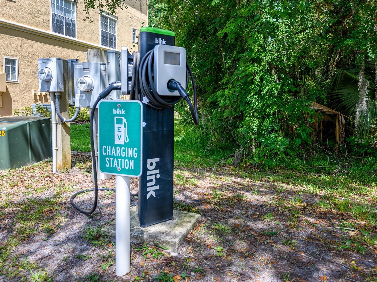 5125 Palm Springs Boulevard #7108 Tampa FL 33647 TB8514409 image41