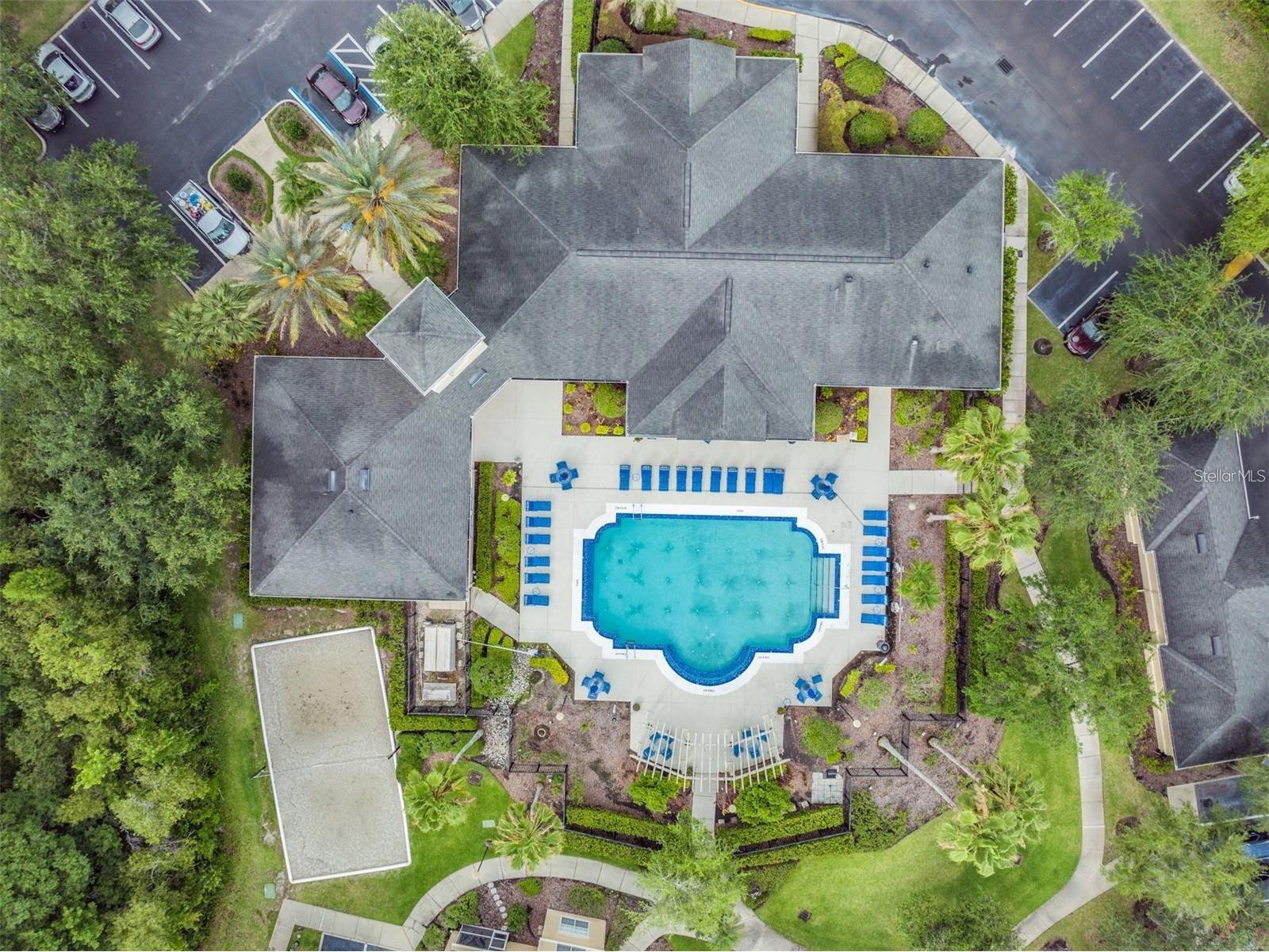 5125 Palm Springs Boulevard #8203 Tampa FL 33647 TB8521043 image26