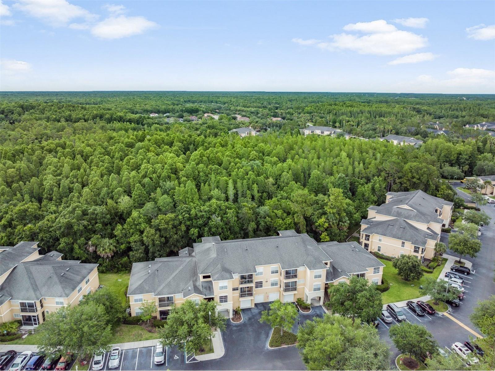 5125 Palm Springs Boulevard #8203 Tampa FL 33647 TB8521043 image32