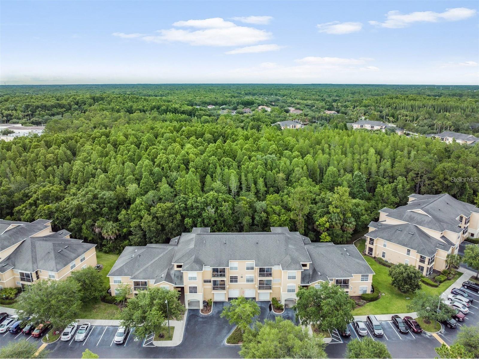 5125 Palm Springs Boulevard #8203 Tampa FL 33647 TB8521043 image34