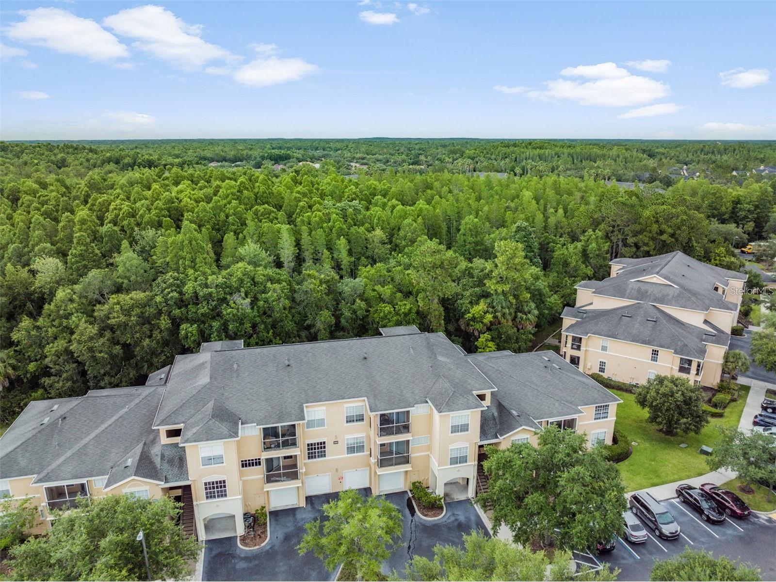 5125 Palm Springs Boulevard #8203 Tampa FL 33647 TB8521043 image35
