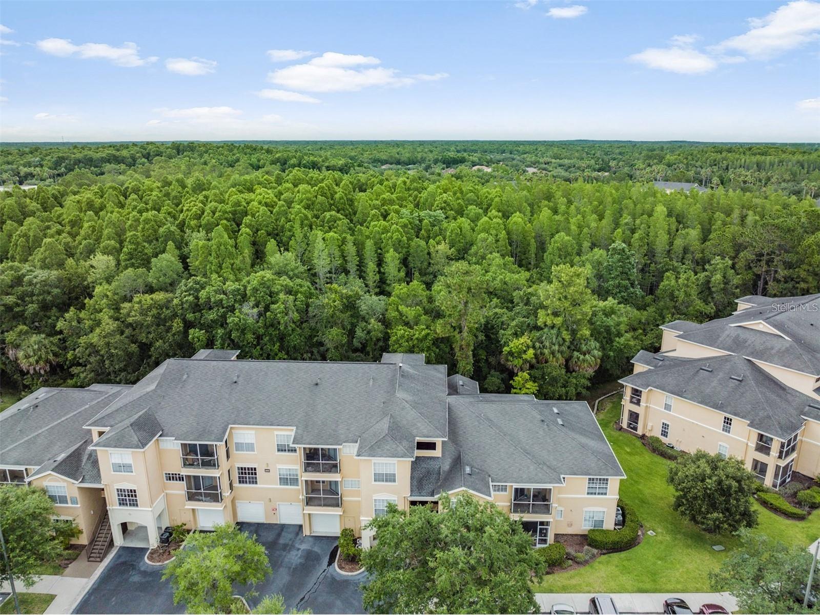 5125 Palm Springs Boulevard #8203 Tampa FL 33647 TB8521043 image36