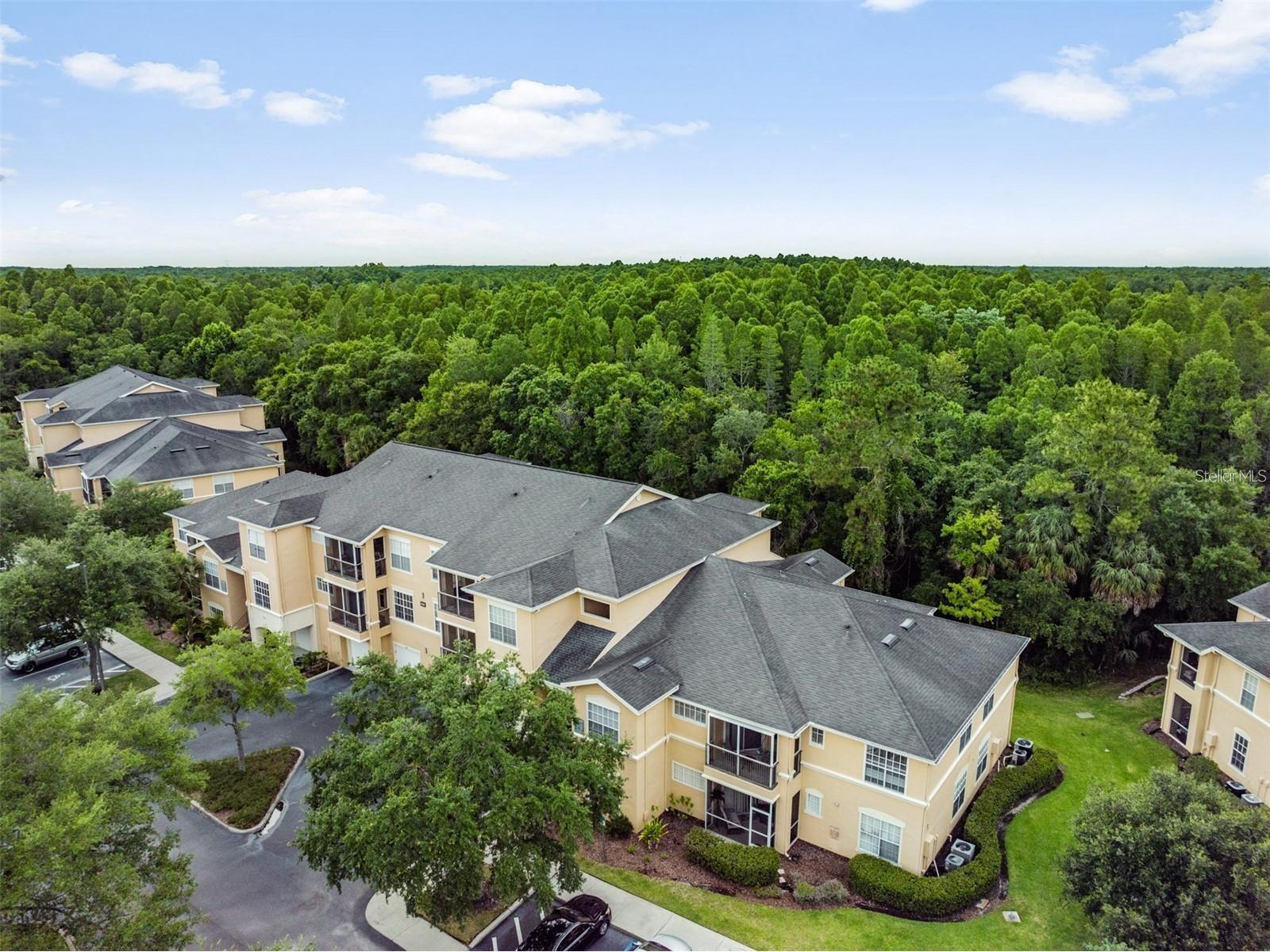 5125 Palm Springs Boulevard #8203 Tampa FL 33647 TB8521043 image37