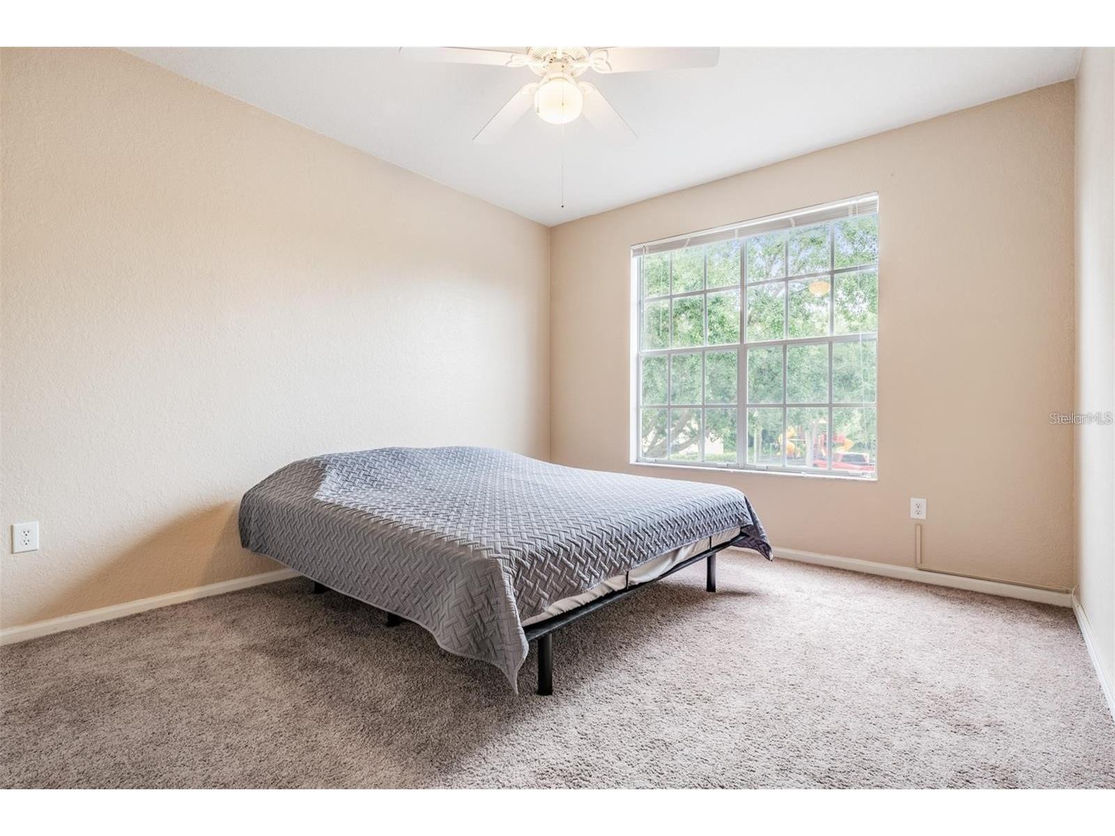 5125 Palm Springs Boulevard #8203 Tampa FL 33647 TB8521043 image9