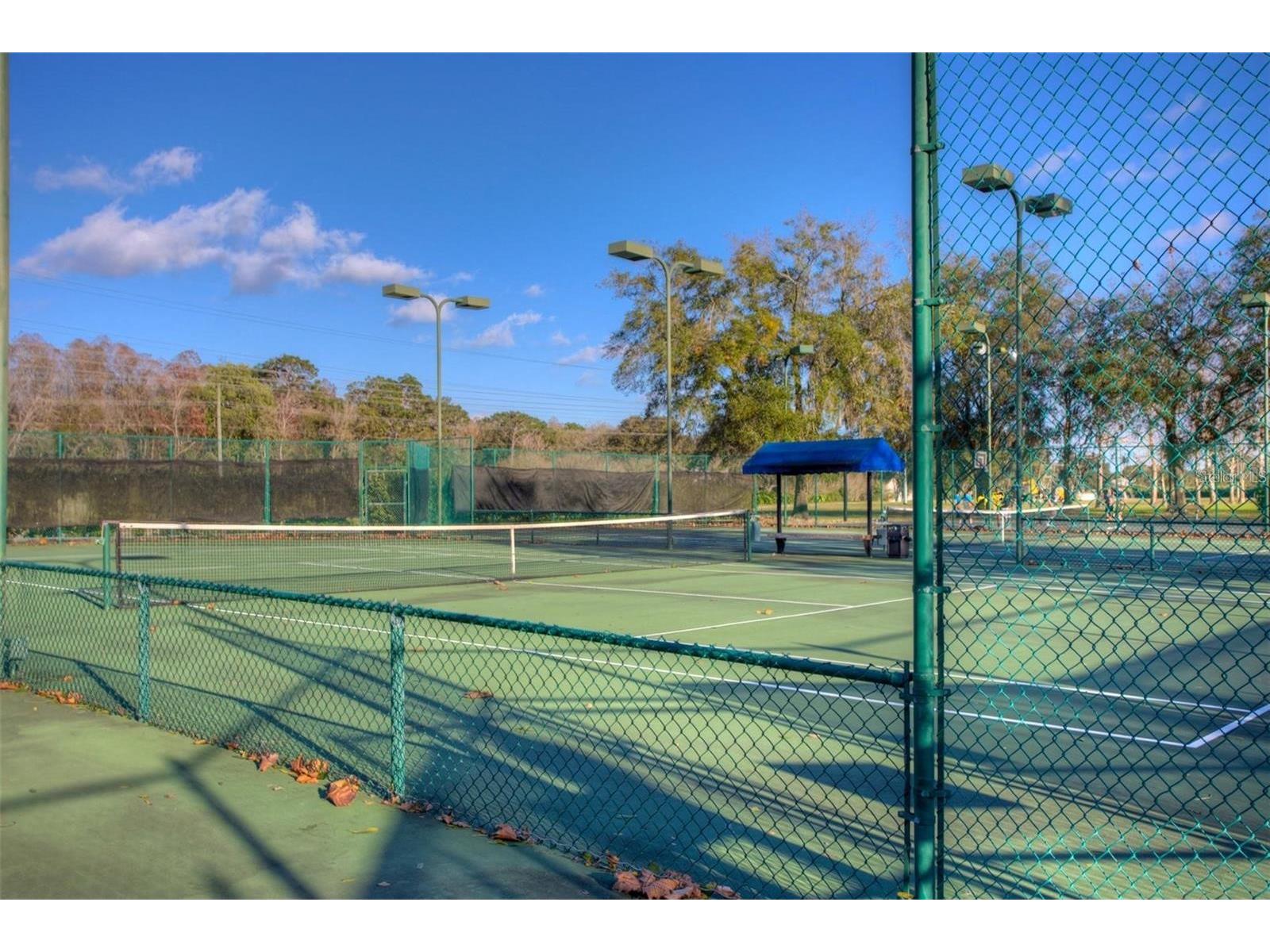 5125 Palm Springs Boulevard #9204 Tampa FL 33647 TB8504160 image3