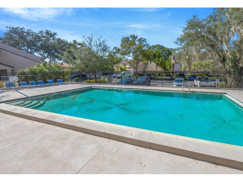 5125 Puritan Circle #1103 Tampa FL 33617 TB8517400 image38