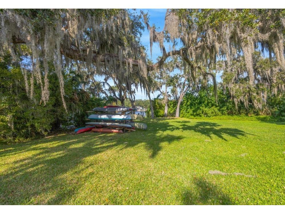 5125 Puritan Circle #1103 Tampa FL 33617 TB8517400 image40