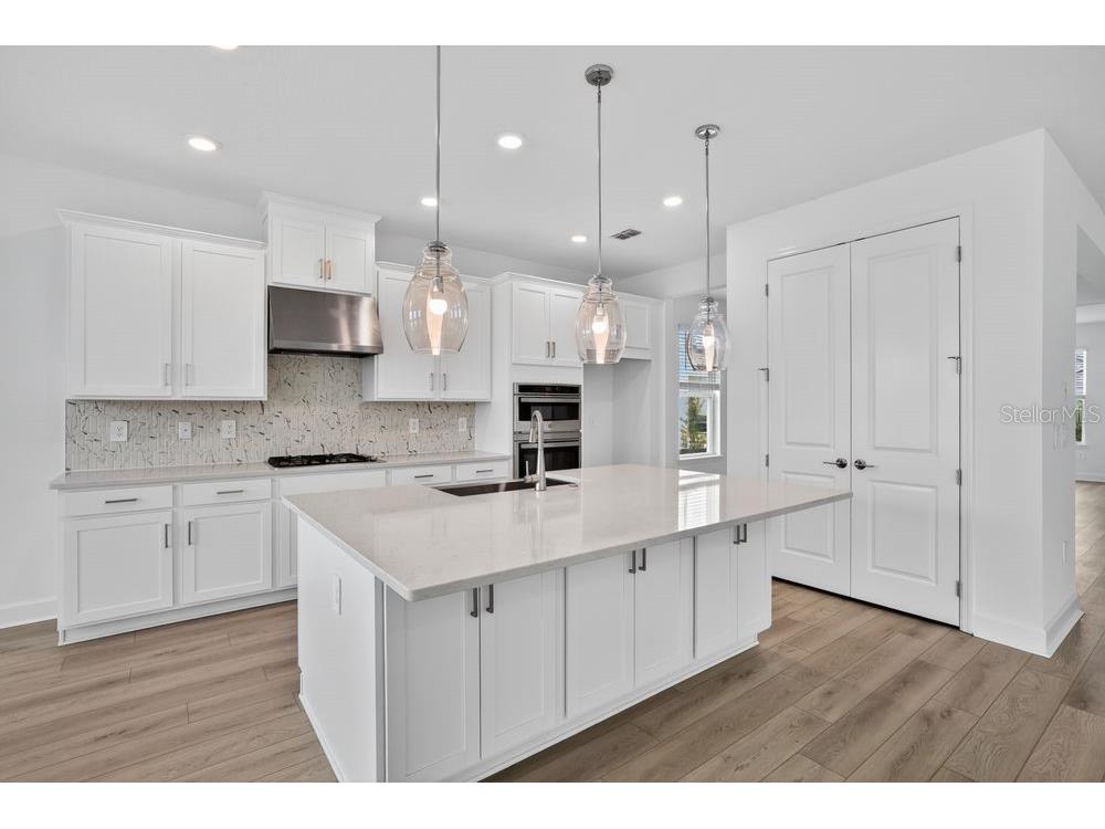 5125 Slate Hue Place Apollo Beach FL 33572 TB8464618 image5