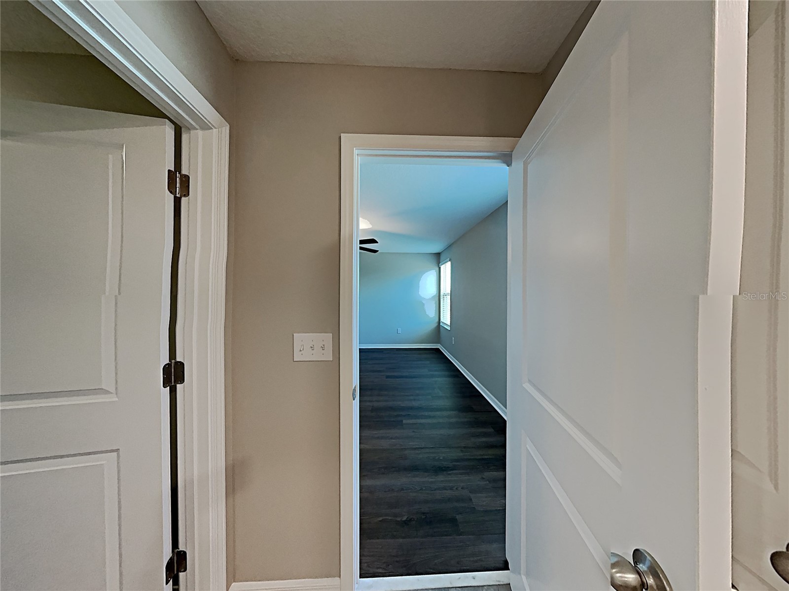 5125 White Chicory Drive Ruskin FL 33570 C7520710 image12