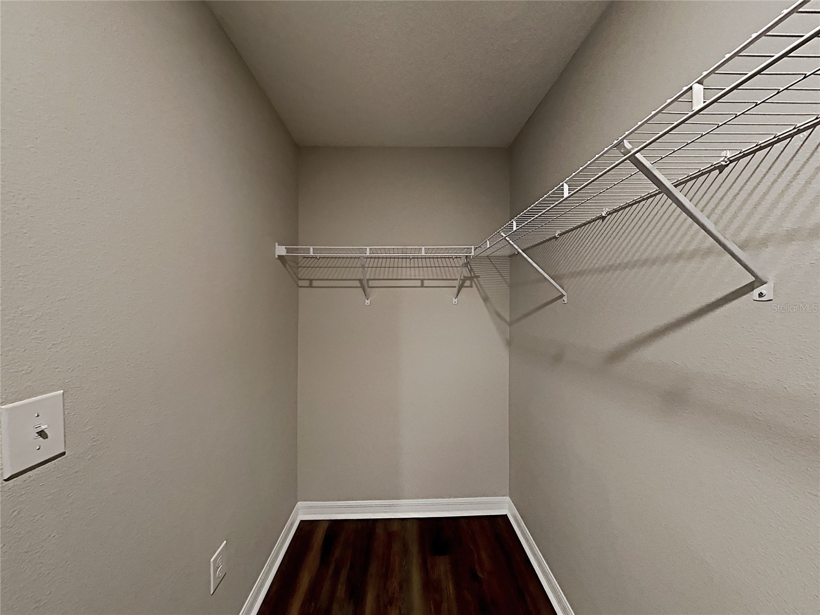 5125 White Chicory Drive Ruskin FL 33570 C7520710 image19