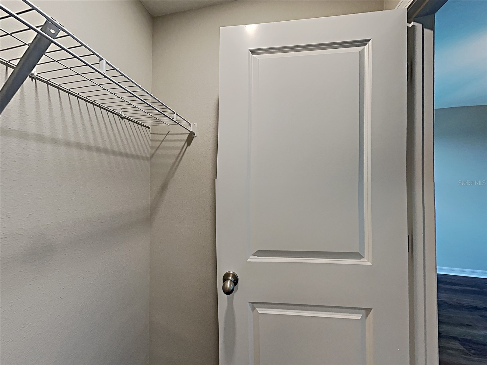 5125 White Chicory Drive Ruskin FL 33570 C7520710 image24