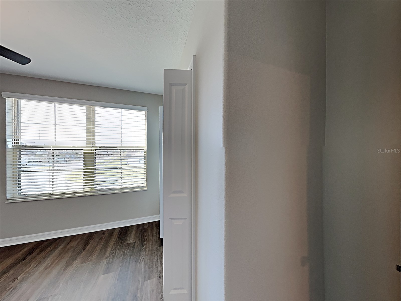 5125 White Chicory Drive Ruskin FL 33570 C7520710 image27