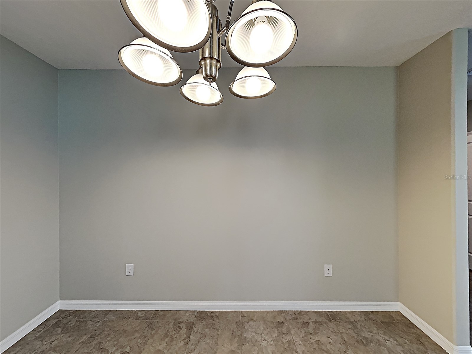 5125 White Chicory Drive Ruskin FL 33570 C7520710 image29
