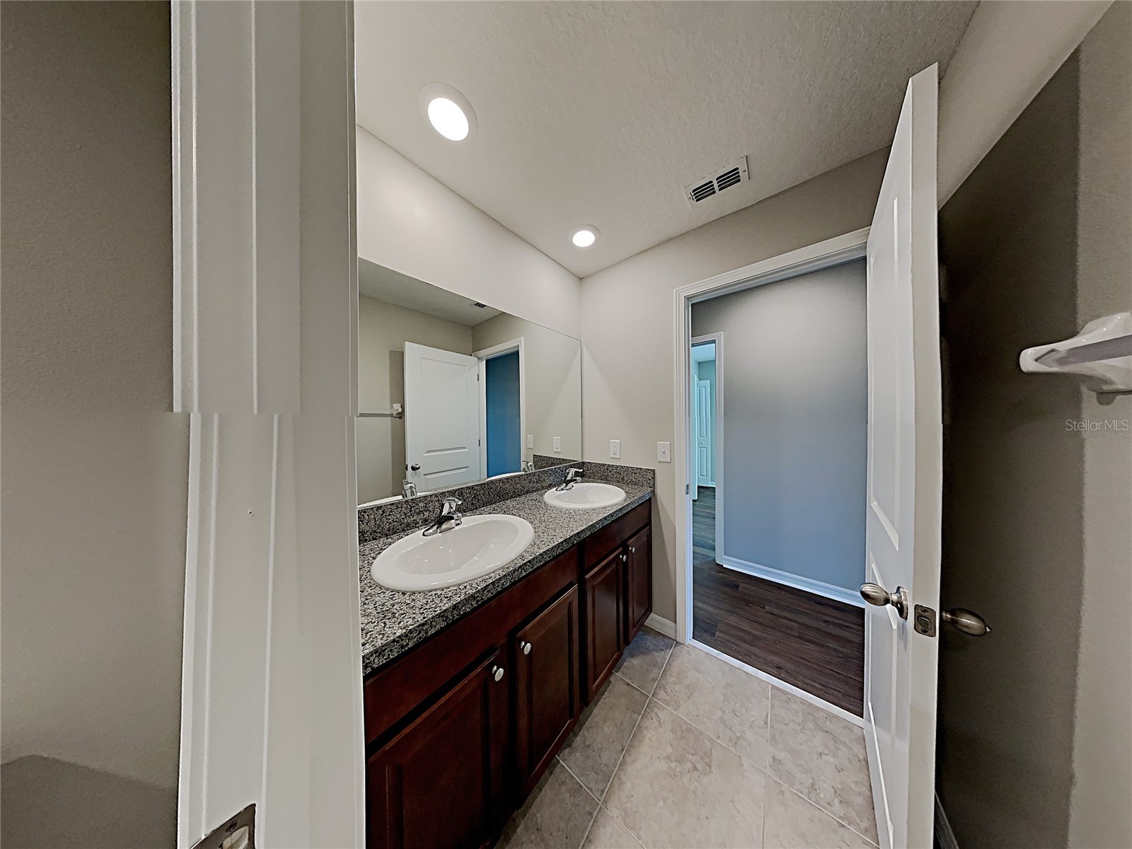 5125 White Chicory Drive Ruskin FL 33570 C7520710 image30