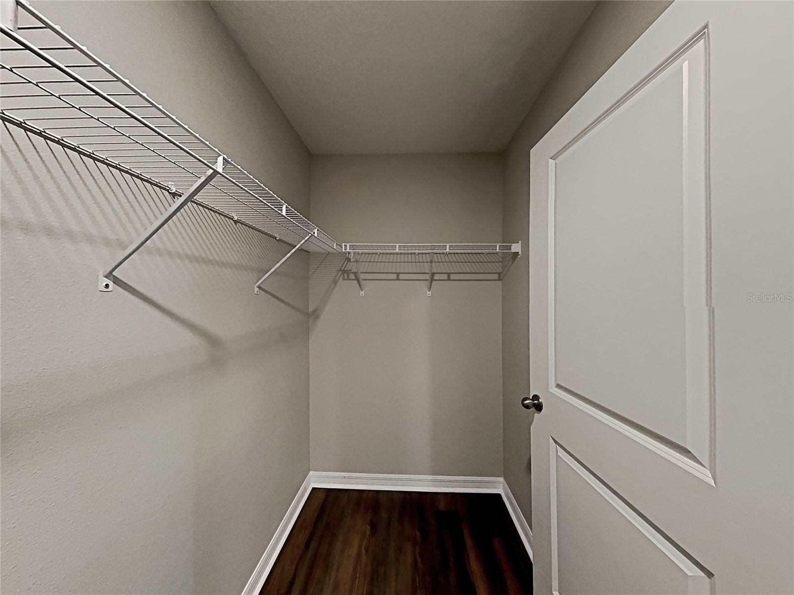 5125 White Chicory Drive Ruskin FL 33570 C7520710 image32