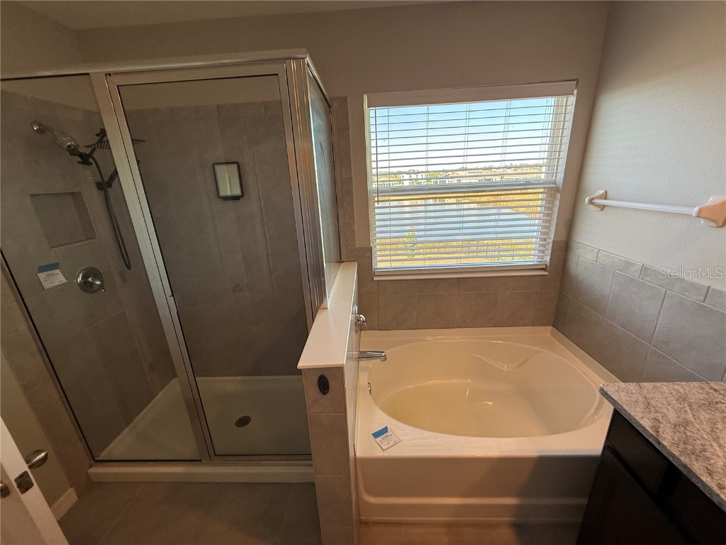 5126 Jackel Chase Drive Wimauma FL 33598 TB8455106 image19