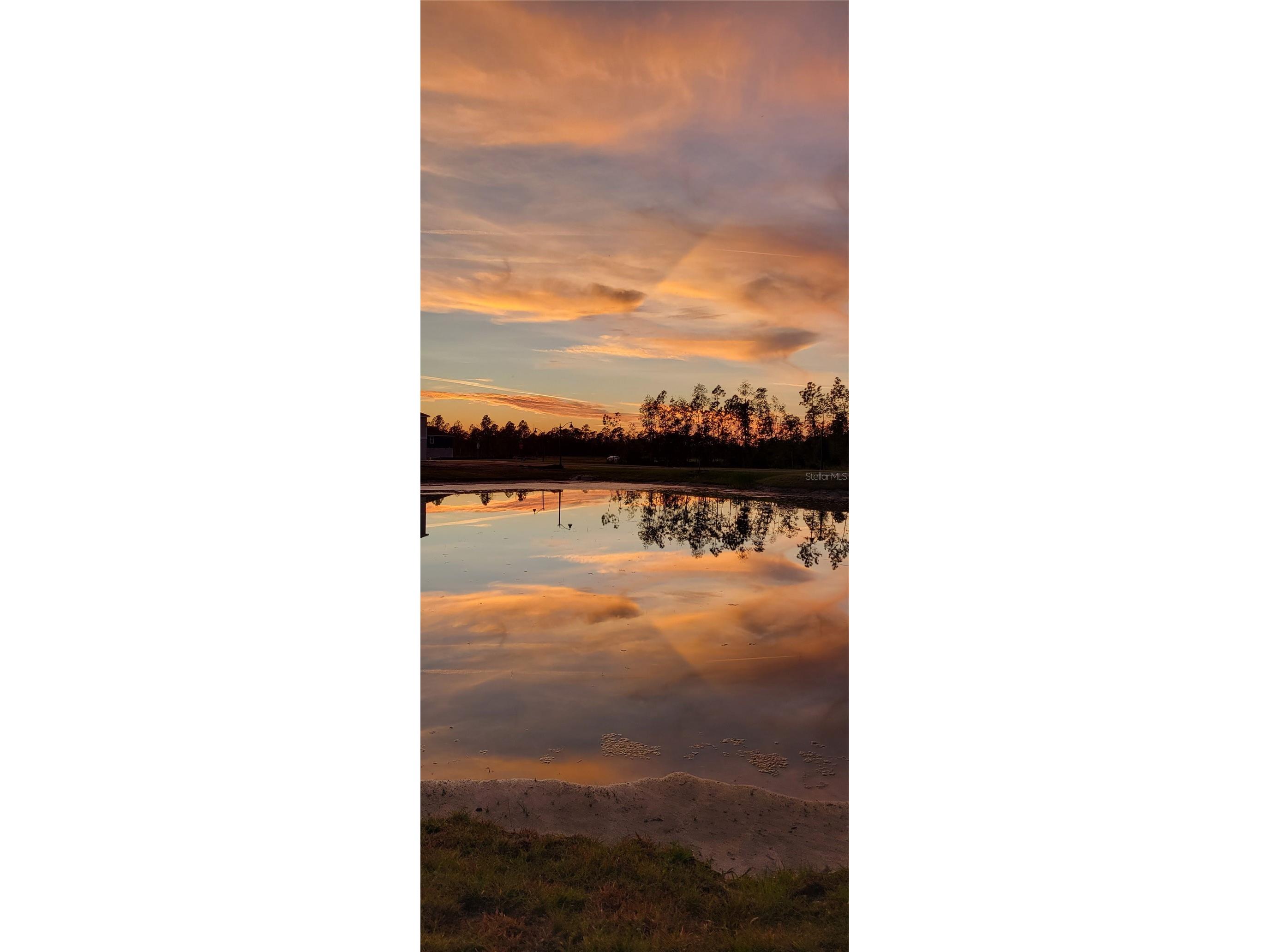 5126 Magnolia Palm Drive Daytona Beach FL 32124 O6400323 image34