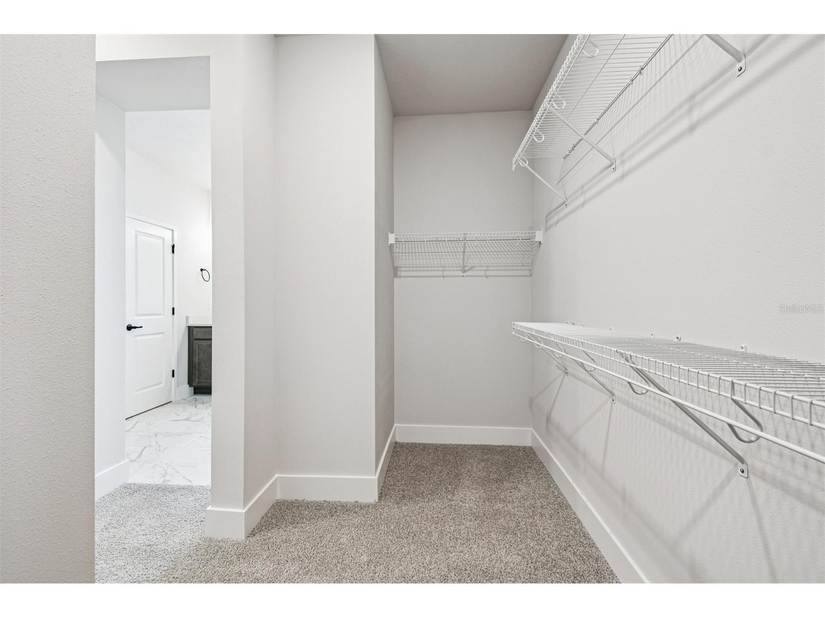 5126 Sea Branch Avenue Apollo Beach FL 33572 TB8425542 image30