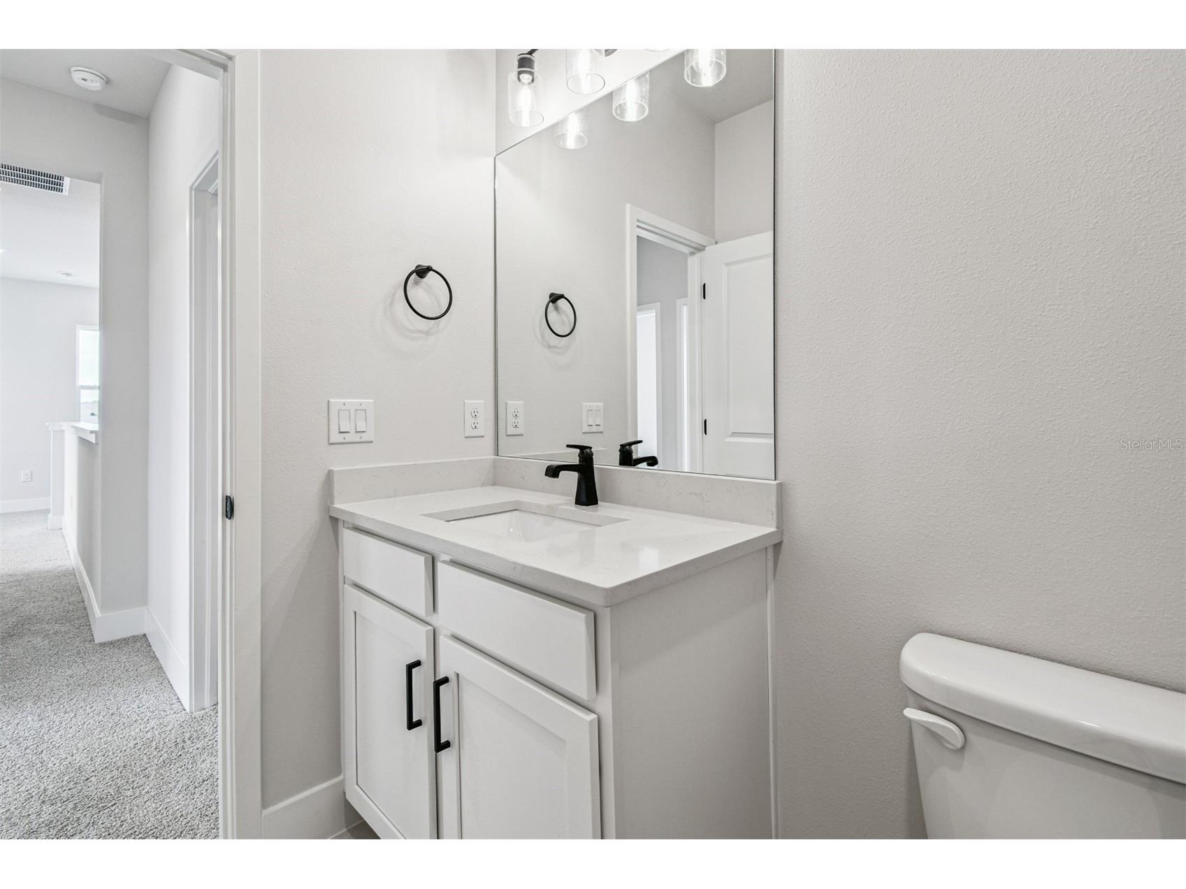 5126 Sea Branch Avenue Apollo Beach FL 33572 TB8425542 image38