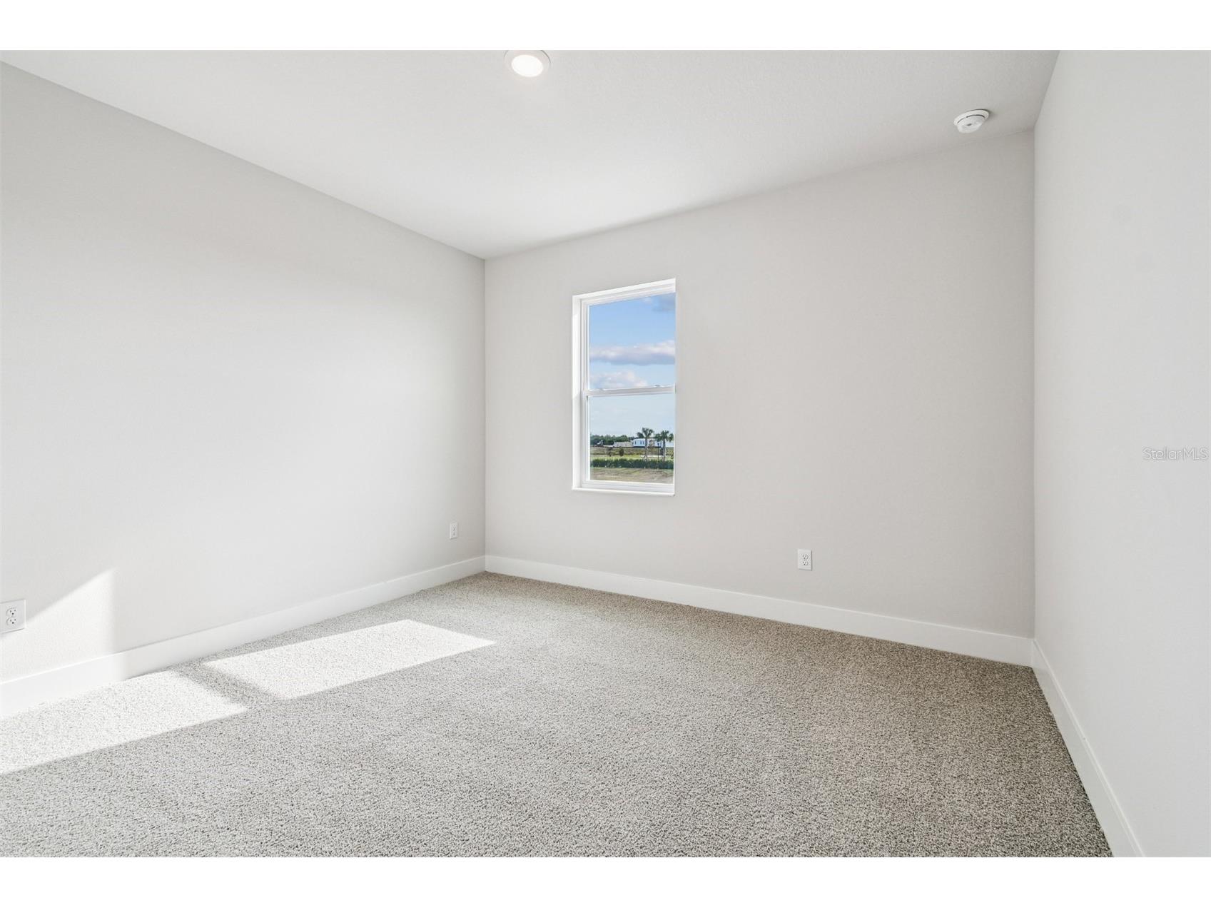 5126 Sea Branch Avenue Apollo Beach FL 33572 TB8425542 image39