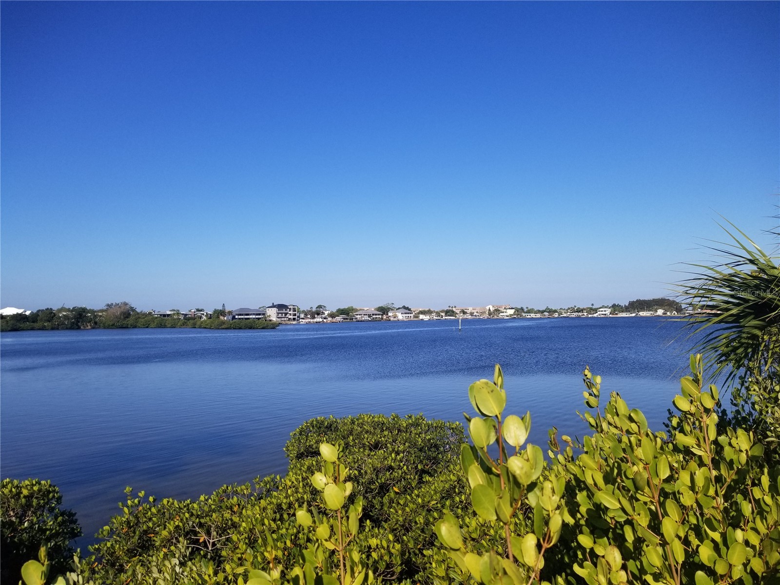 5127 Bay Boulevard Port Richey FL 34668 TB8459057 image39