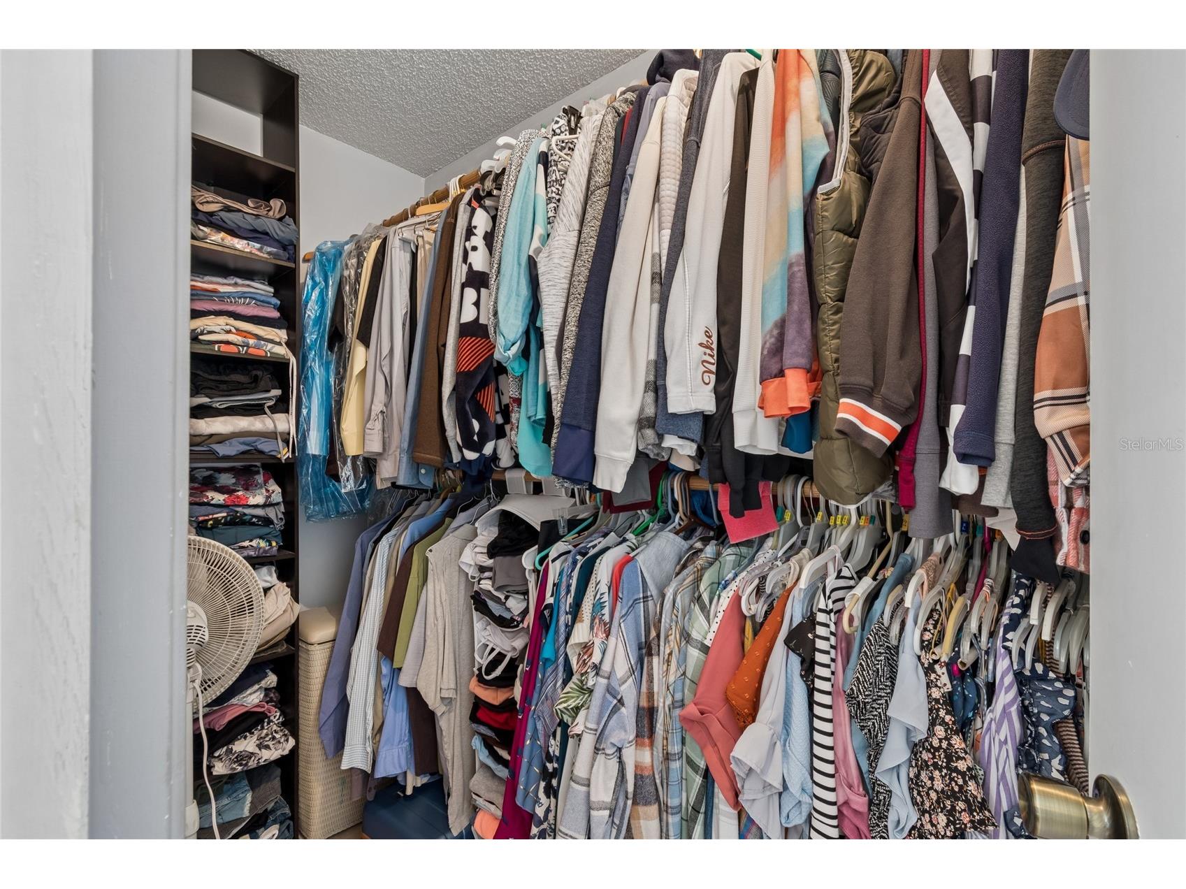 5127 Nashville Drive Tampa FL 33624 TB8505321 image28