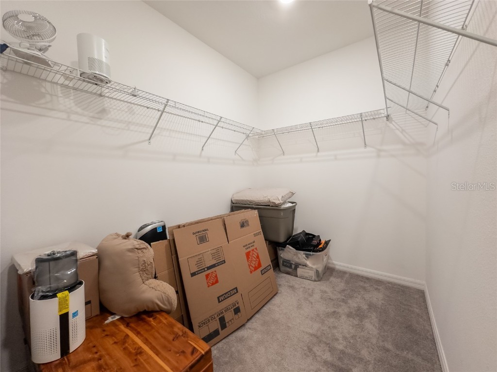 5127 Sable Chime Drive Wimauma FL 33598 TB8447697 image24