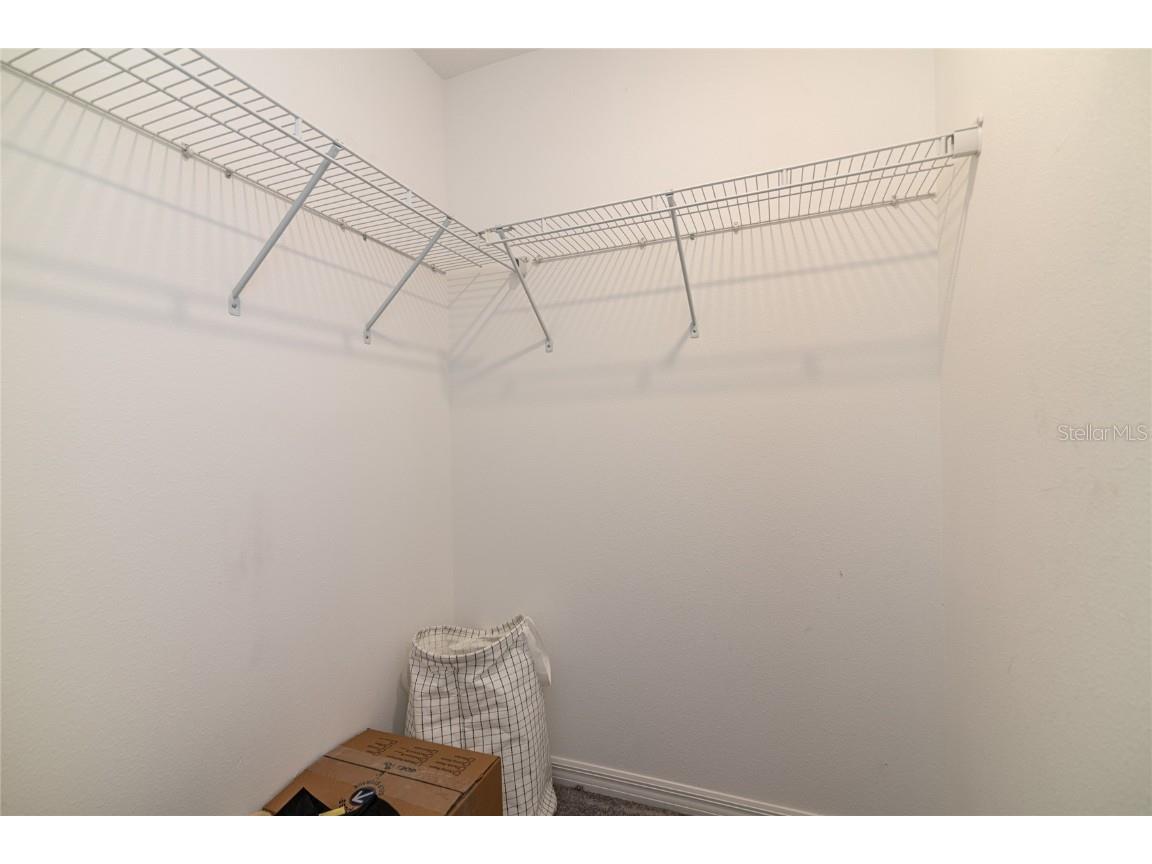 5127 Sable Chime Drive Wimauma FL 33598 TB8447697 image36