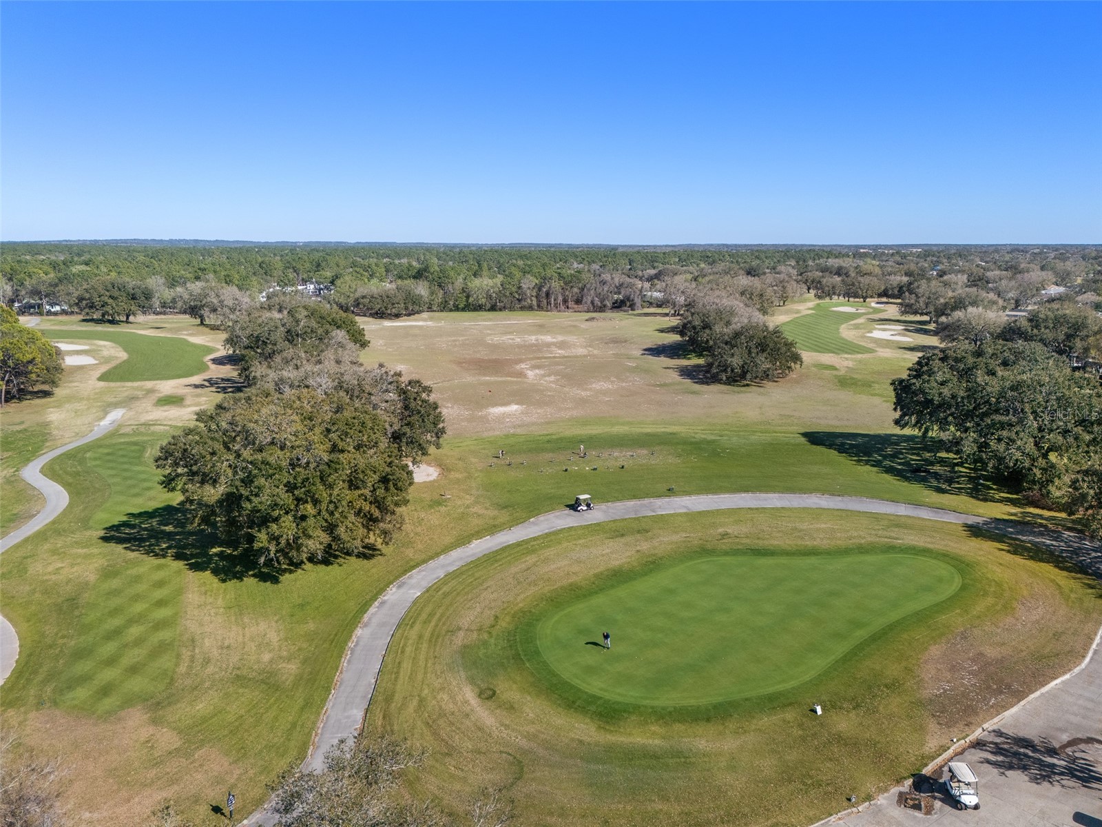 5127 Secretariat Run Brooksville FL 34609 TB8476417 image64