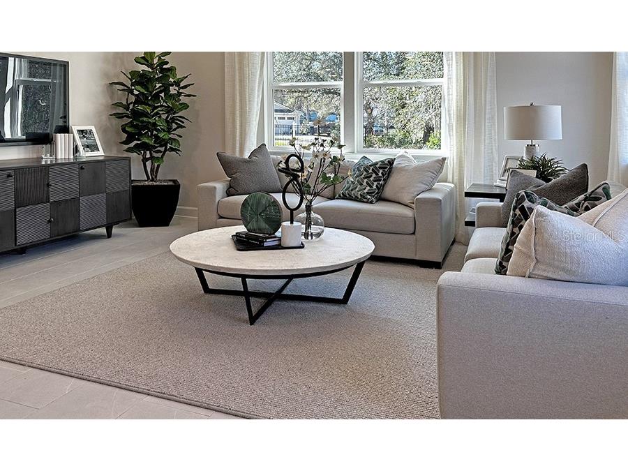 5127 Spring Maiden Circle Apollo Beach FL 33572 S5139730 image9