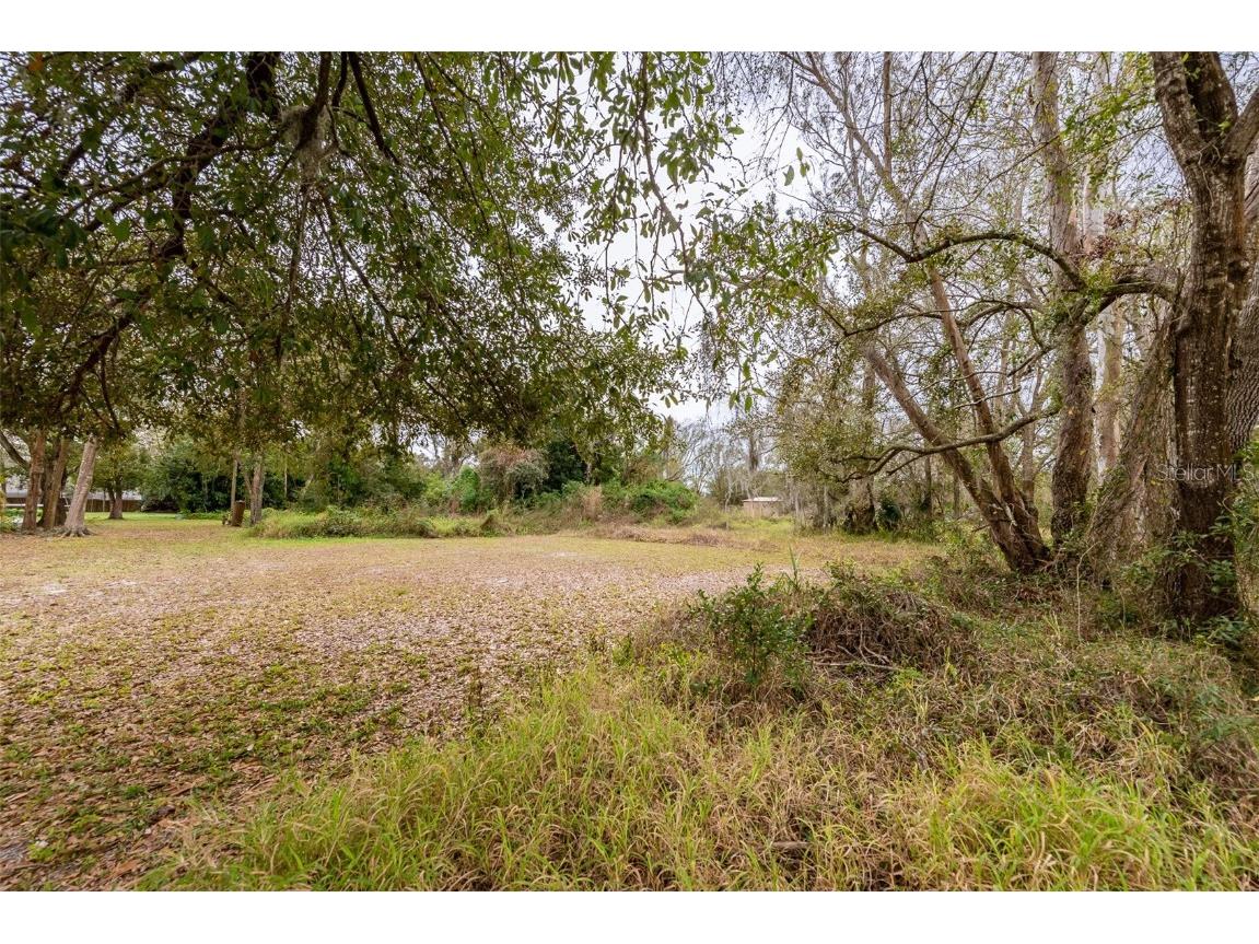 5128 Country Side Drive Tampa FL 33624 T3417856 image1
