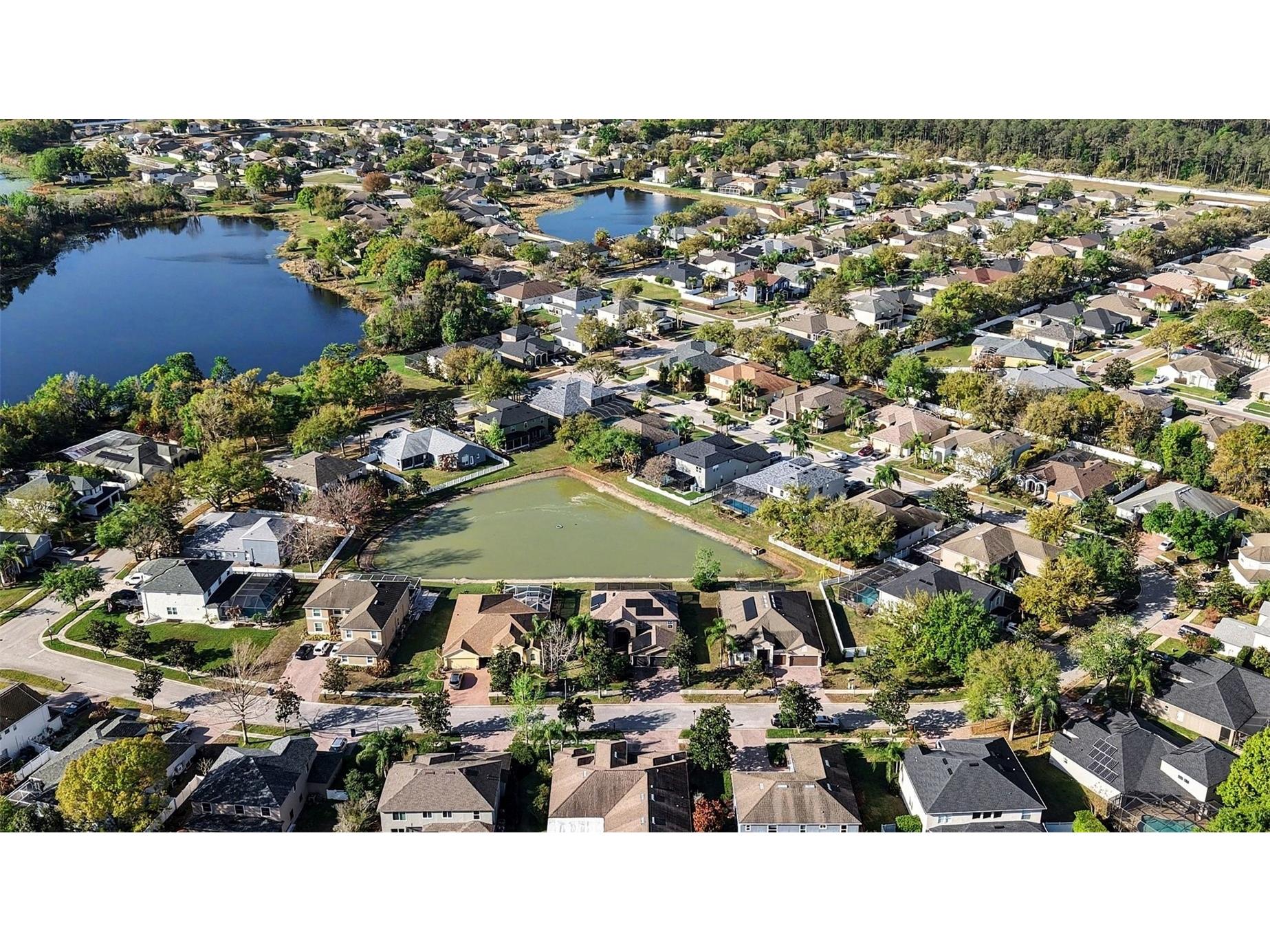 5128 Hartwell Loop Land O Lakes FL 34638 TB8479838 image40
