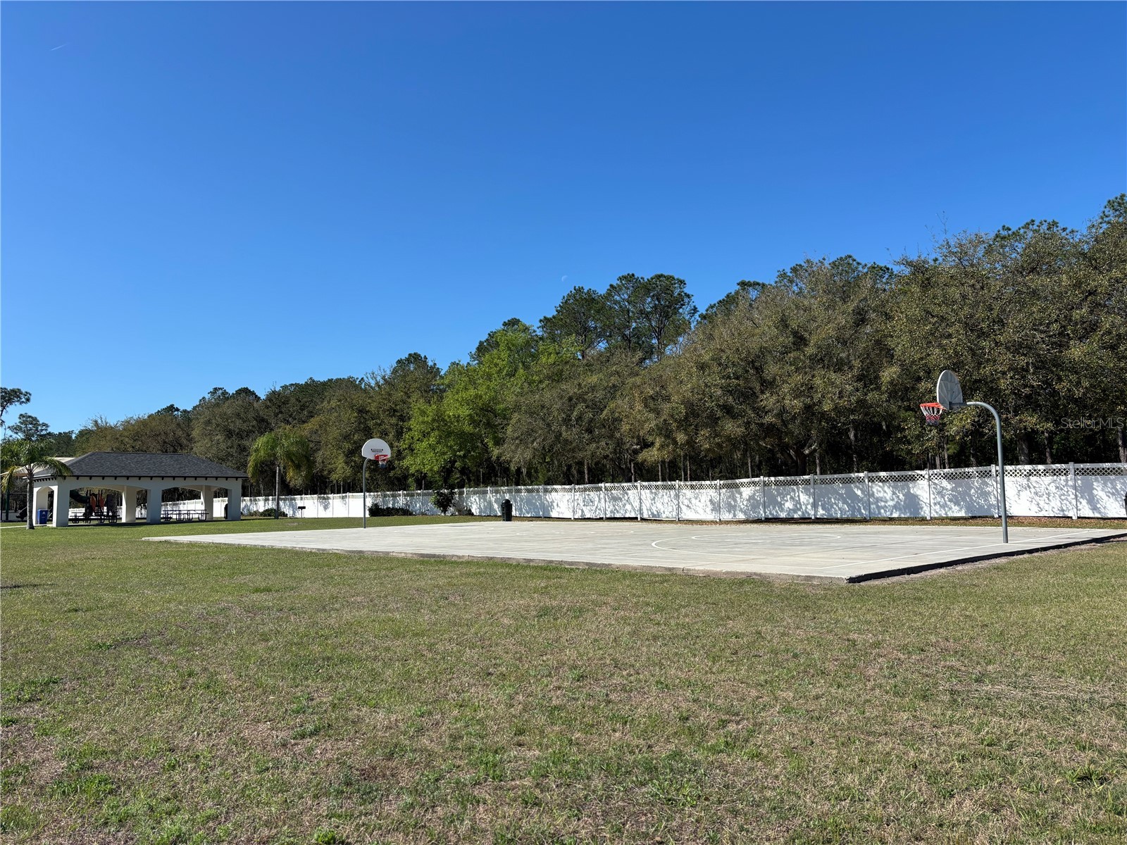 5128 Hartwell Loop Land O Lakes FL 34638 TB8479838 image44