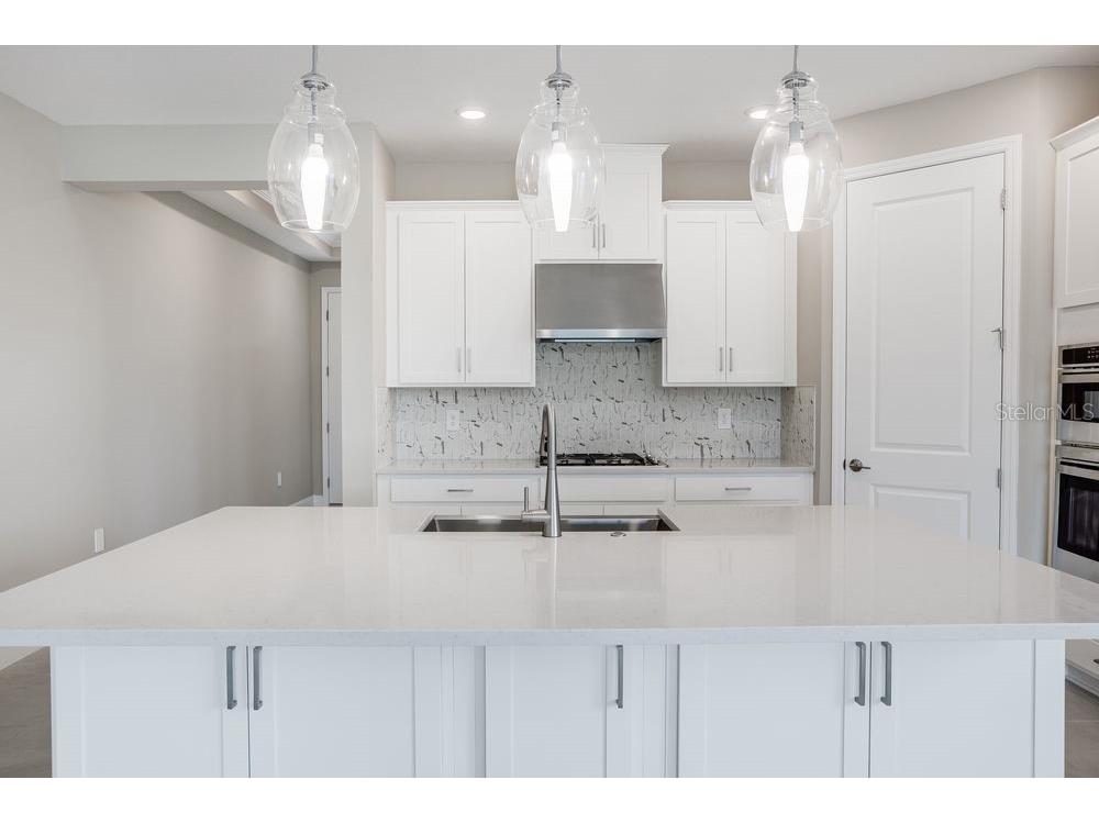 5128 Slate Hue Place Apollo Beach FL 33572 TB8369278 image10