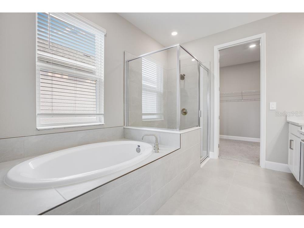 5128 Slate Hue Place Apollo Beach FL 33572 TB8369278 image17