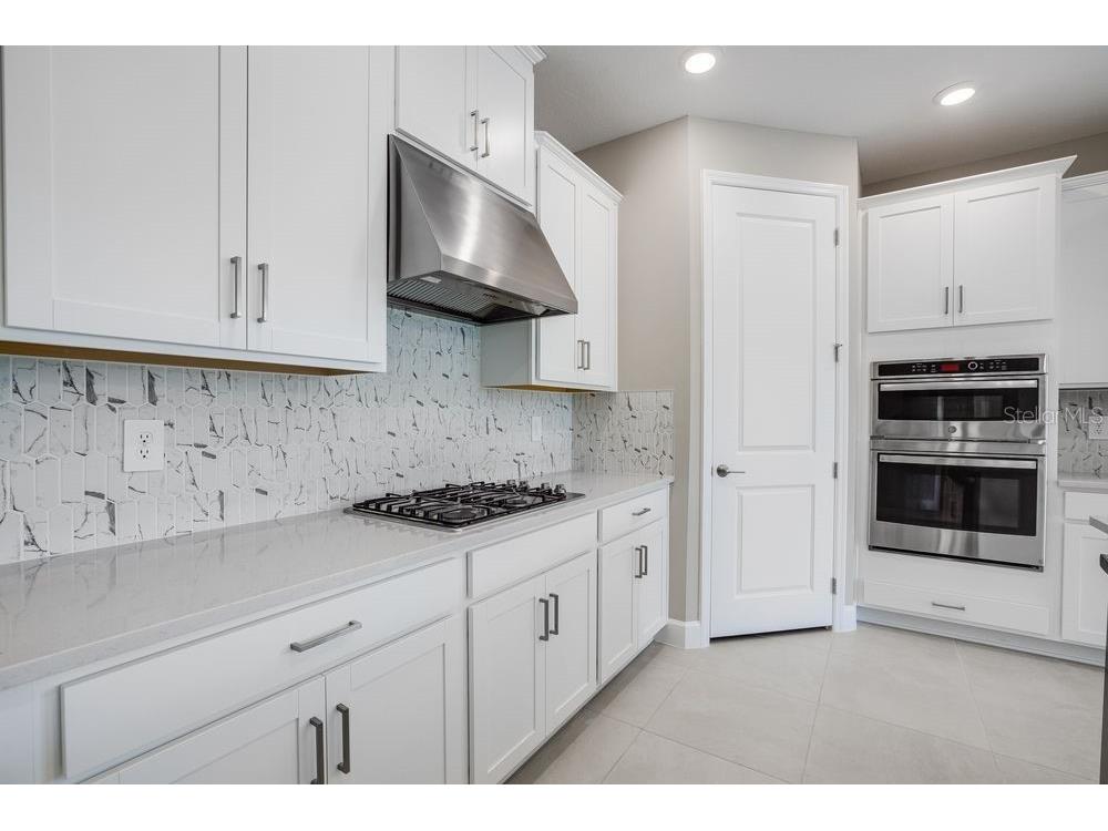 5128 Slate Hue Place Apollo Beach FL 33572 TB8369278 image6