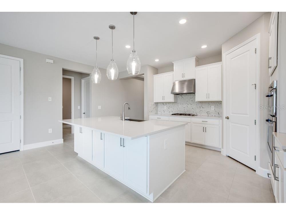 5128 Slate Hue Place Apollo Beach FL 33572 TB8369278 image9