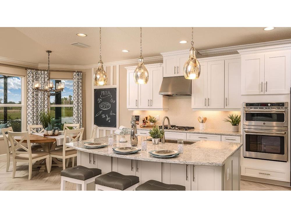 5129 Slate Hue Place Apollo Beach FL 33572 TB8457880 image10