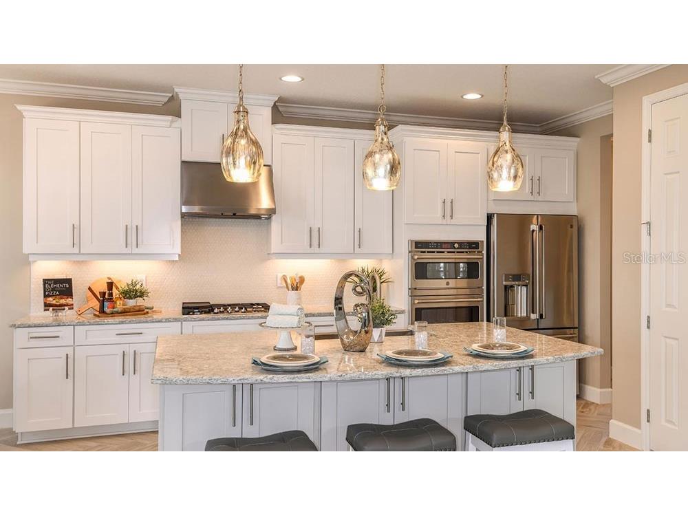 5129 Slate Hue Place Apollo Beach FL 33572 TB8457880 image11