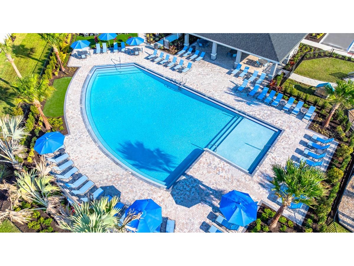 5129 Slate Hue Place Apollo Beach FL 33572 TB8457880 image47