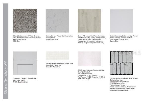 5129 Slate Hue Place Apollo Beach FL 33572 TB8457880 image5