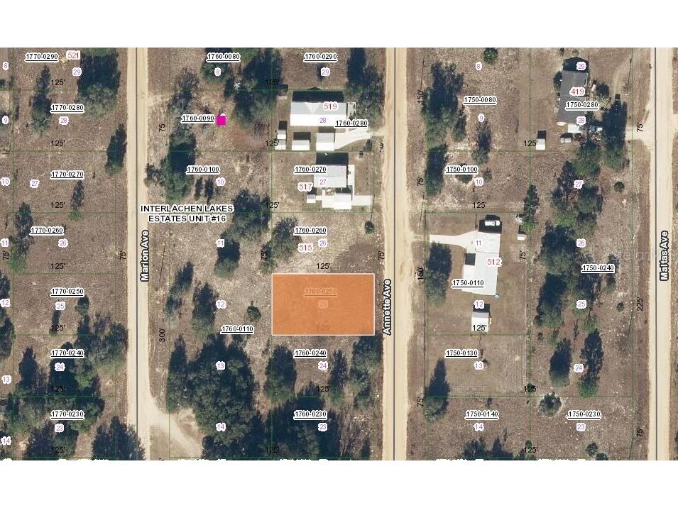513 Annette Avenue Interlachen FL 32148 OM715760 image1
