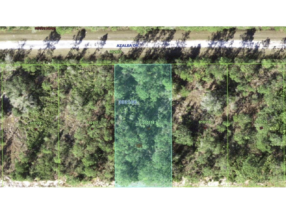 513 Azalea Drive Indian Lake Estates FL 33855 - LAKE WALK-IN-WATER TB8318063 image1