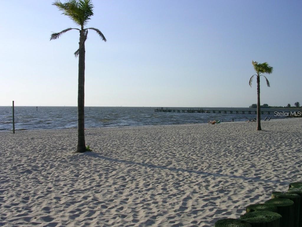 513 Bahia Beach Blvd Ruskin FL 33570 TB8492467 image25