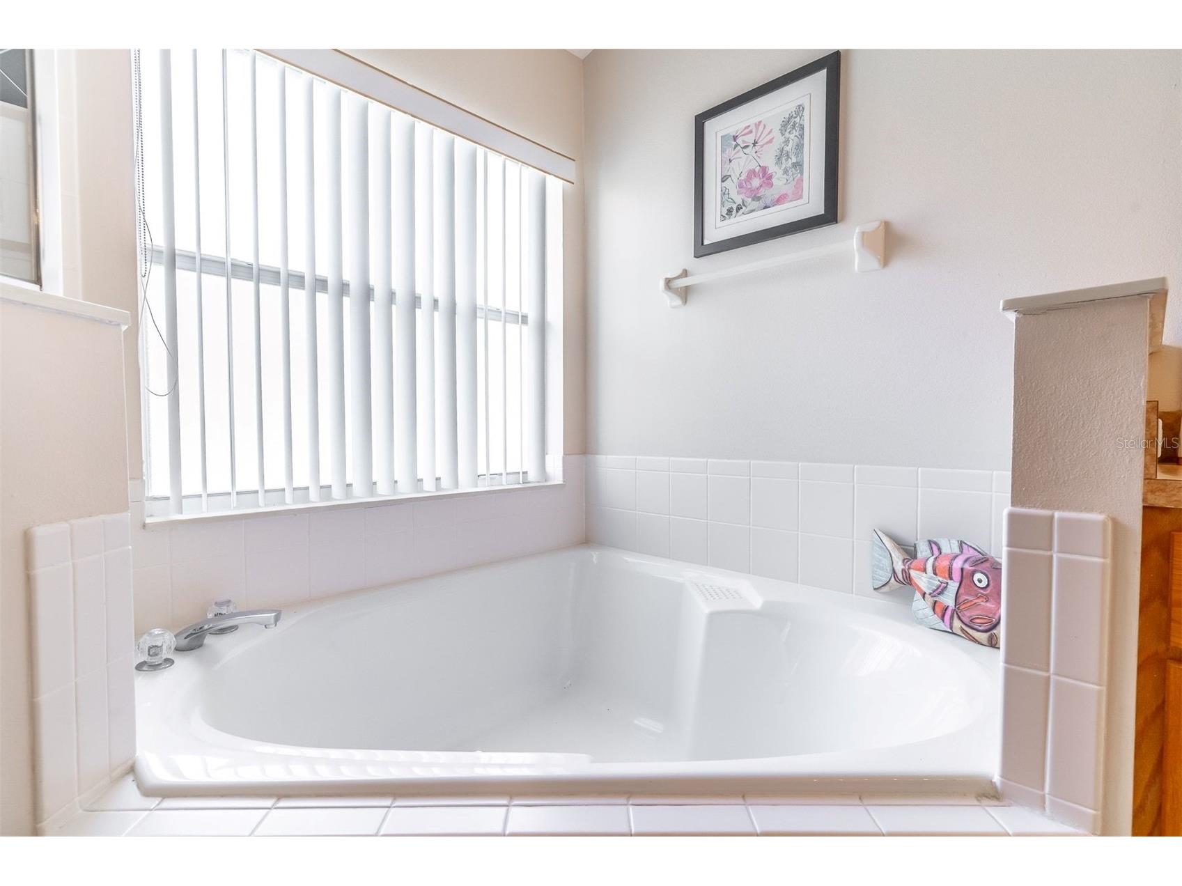 513 Balmoral Drive Davenport FL 33896 S5149030 image11