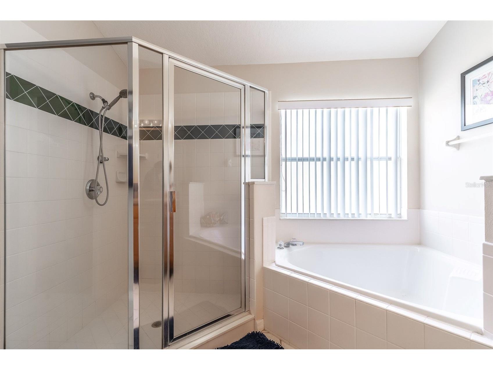513 Balmoral Drive Davenport FL 33896 S5149030 image12