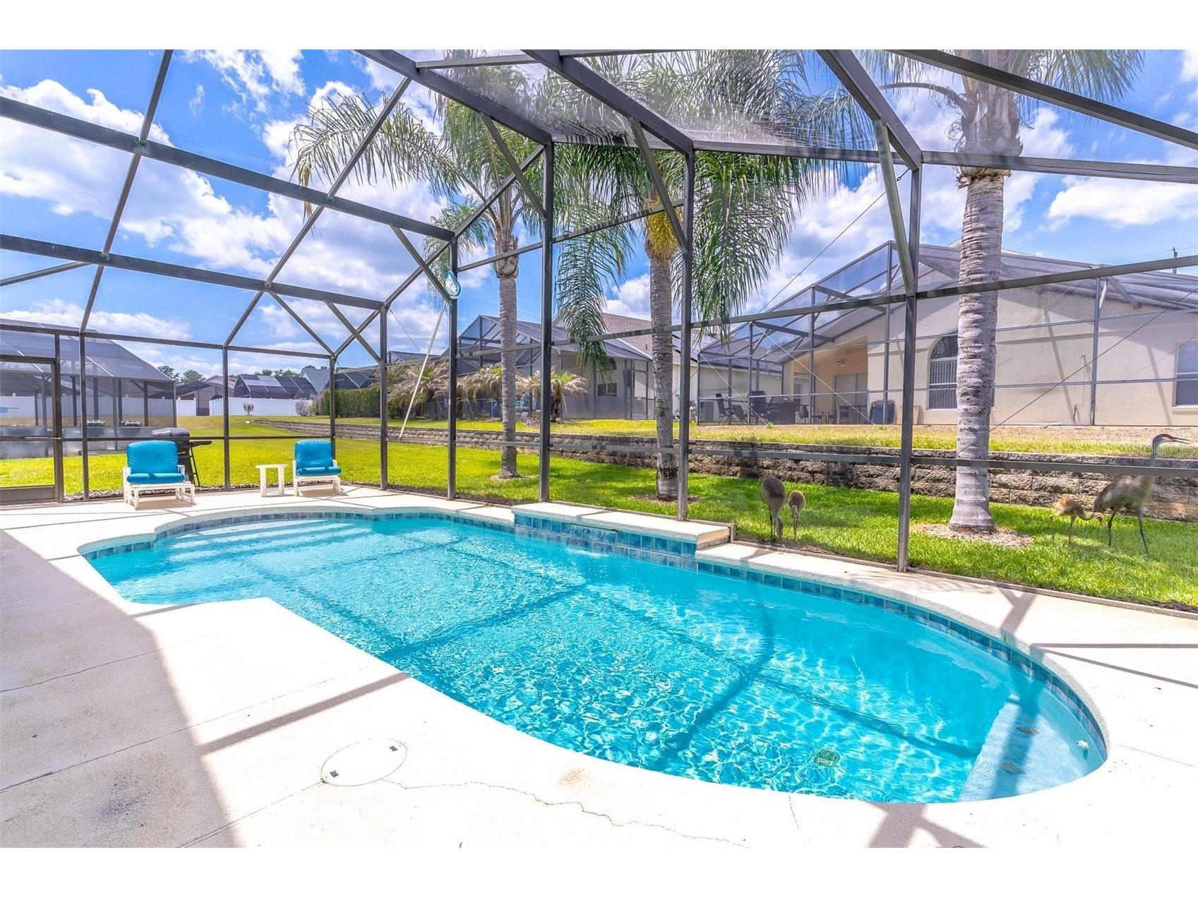513 Balmoral Drive Davenport FL 33896 S5149030 image28