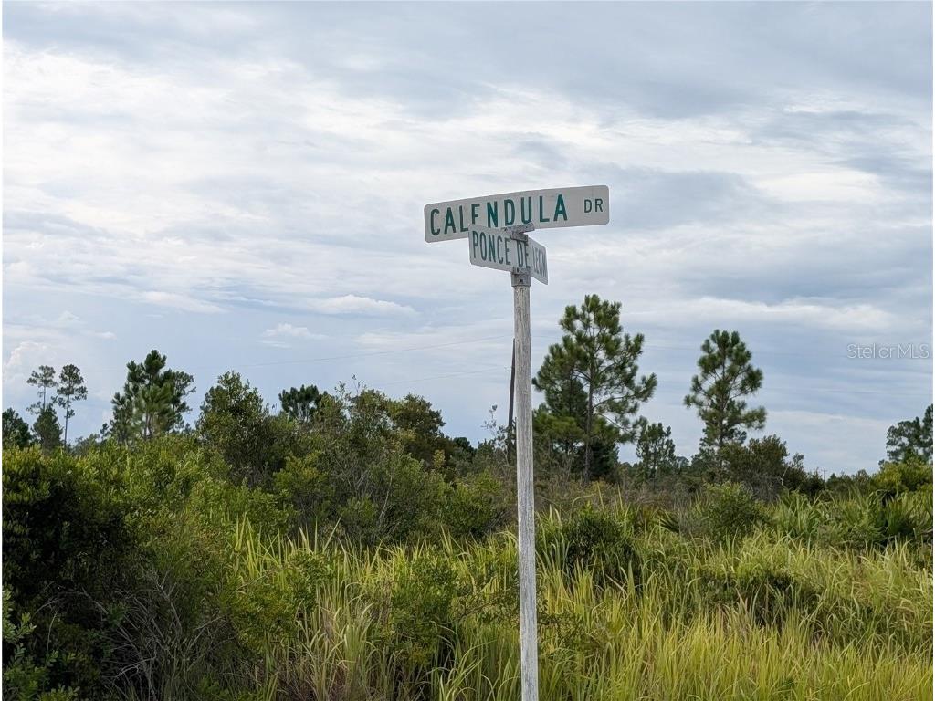 513 Calendula Drive Indian Lake Estates FL 33855 - LAKE WALK-IN-WATER TB8415384 image1