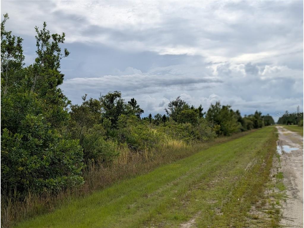 513 Calendula Drive Indian Lake Estates FL 33855 - LAKE WALK-IN-WATER TB8415384 image2